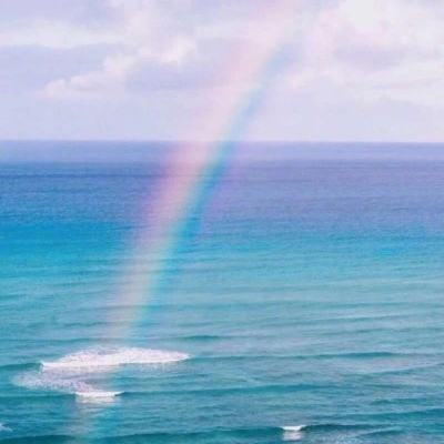 狗万官网手机app下载