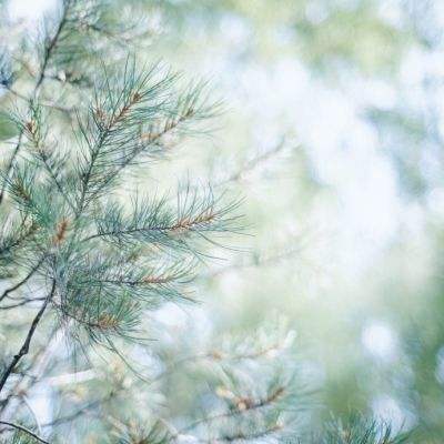 m6米乐网页版登录入口下载手机版